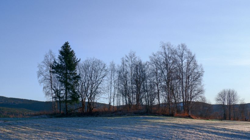 dekkhotell Hurdal